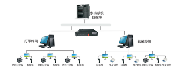 济源SFC润思领航科技 服务市场推广的网页与网站设计策略